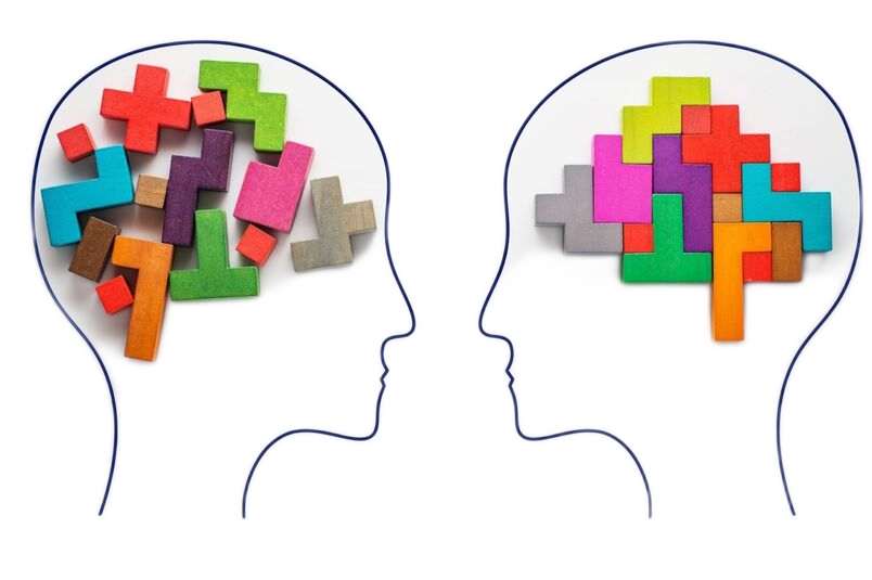 Two heads with different colored blocks in the middle of each.